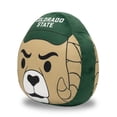 thumbnail image 3 of Logo Brands Colorado State Rams Puff Pillow, 3 of 5