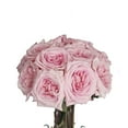 thumbnail image 2 of Member's Mark Garden Roses, 36 stems, Choose color variety, 2 of 6