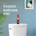 thumbnail image 6 of Febreze Air Effects Air Freshener Spray, Fall +Holiday Mixed Scents, 4 ct., 35.2 oz., 6 of 10