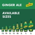 thumbnail image 3 of Schweppes Ginger Ale 12 fl. oz., 24 pk., 3 of 11