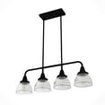 thumbnail image 10 of Hunter Cypress Grove with Clear Holophane Glass 4 Light Chandelier Ceiling Light Fixture, 10 of 10