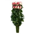 thumbnail image 5 of Member's Mark Ecuadorian Premium Roses, choose color variety and stem count, 5 of 8