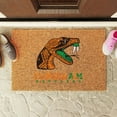 thumbnail image 2 of Logo Brands Florida A&M Rattlers Doormat, 2 of 5
