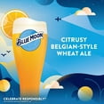 thumbnail image 4 of Blue Moon Belgian White Ale Beer, 12 fl. oz. bottle, 12 pk., 4 of 9