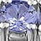 thumbnail image 5 of Tanzanite Tennis Bracelet in Sterling Silver, 5 of 5