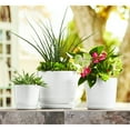 thumbnail image 2 of Member's Mark 3-Pack Ceramic Planters with Saucers, 2 of 8