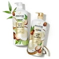 thumbnail image 9 of Pantene Pro-V Nourishing Coconut Milk & Shea Butter Shampoo, 38.2 fl. oz., 9 of 9