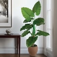 thumbnail image 3 of Artificial 6' Taro Tree in a Brown Ceramic Planter, 3 of 5