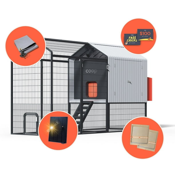 coop cigarettes price coop Smart Chicken Coop & Steel Run