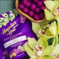 thumbnail image 3 of Hawaiian Host, Paradise Collection Ube White Chocolate Candy, 16 oz., 3 of 3