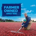 thumbnail image 6 of Ocean Spray Craisins, Original Dried Cranberries, 48 oz., 6 of 6