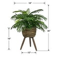 thumbnail image 6 of Faux 30" Phoenix Palm in Handwoven Tripod Stand Basket, 6 of 6