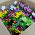 thumbnail image 6 of Member's Mark Hi There Floral Arrangements 9 ct., 6 of 8