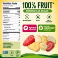 thumbnail image 2 of BranchOut Crunchy Fruit Chips with Strawberry, Apple, Banana & Pineapple, No Added Sugar, 7 oz., 2 of 5