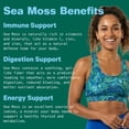 thumbnail image 3 of Kuli Kuli Sea Moss & Blue Spirulina Superfood Gummies, 60 Count, 2 Pack, 3 of 5