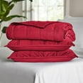 thumbnail image 4 of Member's Mark 3-Piece Velvet Box Quilt Set, Assorted Sizes, 4 of 6
