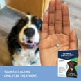 thumbnail image 7 of PetArmor CapAction Flea Tabs for Dogs, 12 ct., Choose Size, 7 of 9