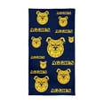 thumbnail image 1 of Logo Brands North Carolina A&T Aggies 38"x72" Beach Towel, 1 of 6