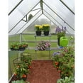 thumbnail image 4 of Palram - Canopia Nature 6' x 8' Greenhouse - Silver Frame - Twin-Wall, 4 of 9
