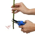 thumbnail image 4 of Member's Mark Seeded Eucalyptus Greenery, 40 stems, 4 of 5