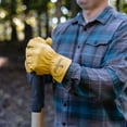 thumbnail image 4 of Plainsman Premium Cabretta Tan Leather Gloves, 2 Pairs, 4 of 5