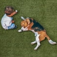 thumbnail image 2 of Select Surfaces Recycled Evergreen Artificial Grass 7.38’ x 11.68’, 2 of 7