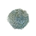 thumbnail image 1 of Member's Mark Enhanced Gypsophila, choose color and stem count, 1 of 5