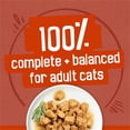 thumbnail image 4 of Purina Friskies Wet Cat Food Gravy Pleasers Variety Pack with Fully Load’d, Meaty Bits, and Prime Filets, 60 ct., 5.5 oz. Cans, 4 of 7