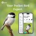 thumbnail image 5 of Birdfy Smart Metal Bird Feeder with Built-in Solar Panel and AI Camera, 5 of 14