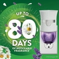 thumbnail image 3 of Air Wick Plug In Essential Oil Air Freshener Refills, Lavender & Chamomile, 9 refills, 3 of 11