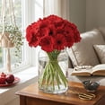 thumbnail image 7 of Member's Mark Gerbera Daisies, choose color and stem count, 7 of 8