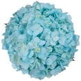 thumbnail image 3 of Member's Mark Color Enhanced Hydrangeas, 20 stems, choose color, 3 of 4