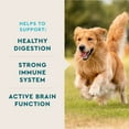 thumbnail image 5 of VETIQ Multivitamin Soft Dog Chews, Hickory Smoke Flavored 60 ct., 2 pk., 5 of 7