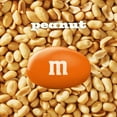 thumbnail image 5 of M&M'S Peanut Milk Chocolate Halloween Candy, 62 oz., 5 of 8