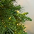 thumbnail image 4 of Member's Mark 7.5' Spruce Pine Pre-Lit Christmas Tree, 4 of 8