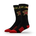 thumbnail image 2 of Maryland Terrapins Adult 2-Pack Crew Socks, 2 of 3