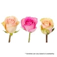 thumbnail image 2 of Member's Mark Roses, choose color variety and stem count, 2 of 9