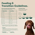 thumbnail image 11 of Jinx Salmon, Sweet Potato & Carrot Recipe, GF, Dry Dog Food, 23.5 lbs., 11 of 11