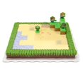 thumbnail image 1 of Minecraft Half Sheet Cake, 1 of 1