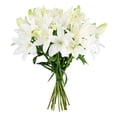 thumbnail image 2 of Member's Mark LA Hybrid Lilies, choose color and stem count, 2 of 8