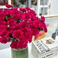 thumbnail image 5 of Member's Mark Mini Carnations, Choose color and stem count, 5 of 6