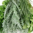 thumbnail image 1 of Member's Mark Assorted Greenery 8 bunches, 1 of 1
