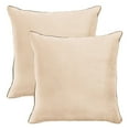thumbnail interactive-video image 1 of Member's Mark Dutch Velvet 2-Pack Decorative Pillows, 22" x 22", 1 of 6