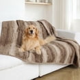 thumbnail image 1 of Member's Mark Waterproof Pet Throw Blanket 60"x80", Choose Color, 1 of 4
