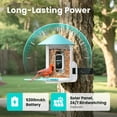 thumbnail image 3 of Birdfy Standard Smart Bird Feeder, 3 of 12