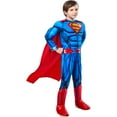 thumbnail image 1 of Warner Bros Superman Muscle Chest Kids Costume, 1 of 5