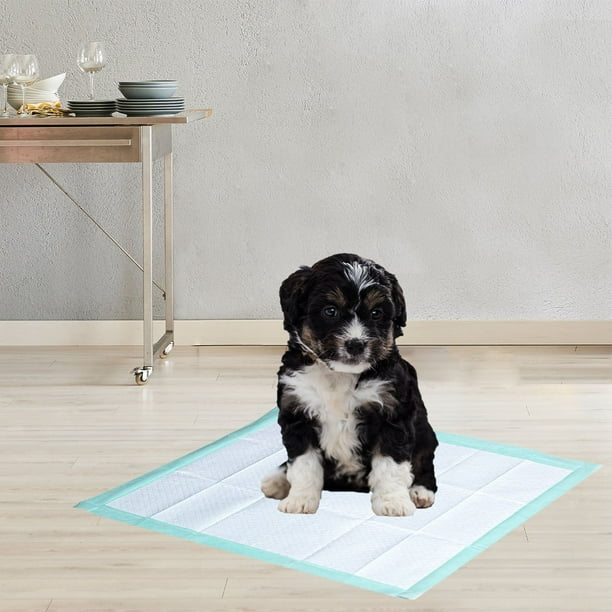 Member's Mark Multipurpose Absorbent Pads, 23