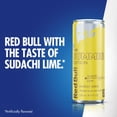 thumbnail image 10 of Red Bull Summer Edition Energy Drink, 8.4 fl. oz., 24 pk., 10 of 10