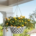 thumbnail image 2 of Member's Mark 14'' Hanging Flower Pot with Stainless Steel Chain, 2 of 3
