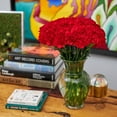 thumbnail image 7 of Member's Mark Carnations, choose color and stem count, 7 of 7